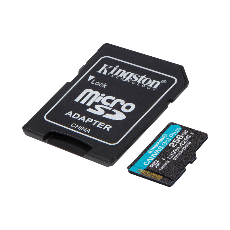 Memoria Micro SD 256GB C10 U3 V30 R/W 170/90 MBPS KINGSTON GO SDCG3/256GB (GOPRO)
