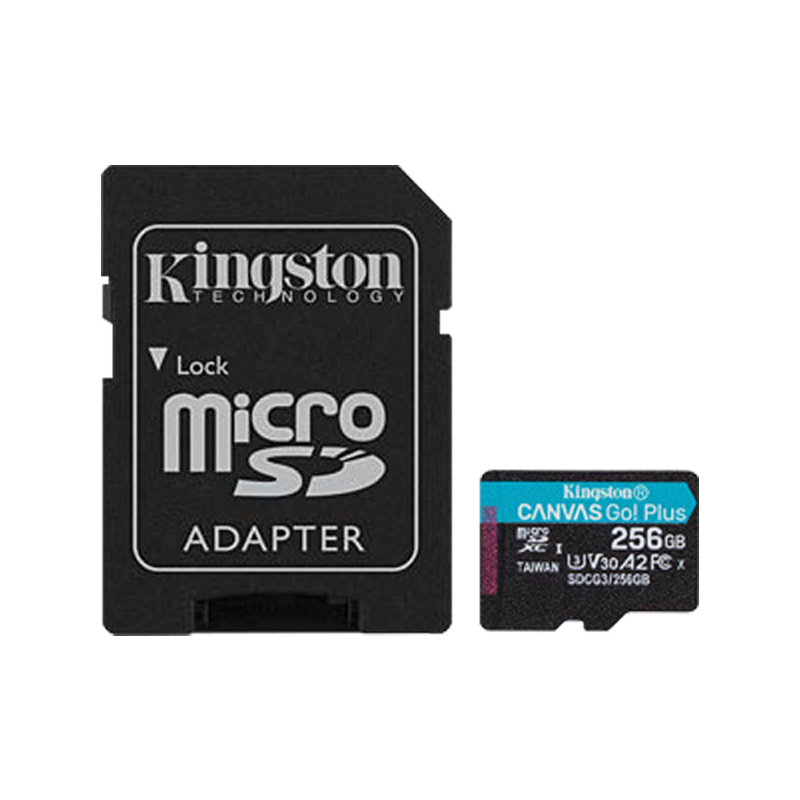 Memoria Micro SD 256GB C10 U3 V30 R/W 170/90 MBPS KINGSTON GO SDCG3/256GB (GOPRO)